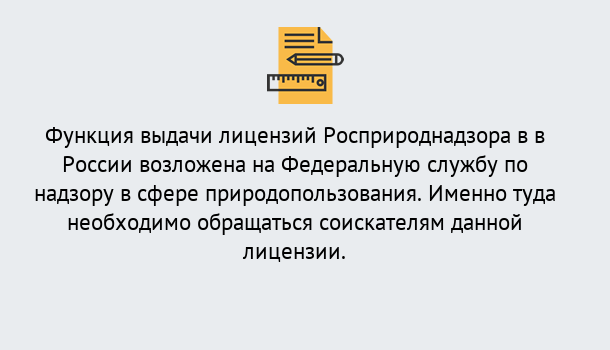 Почему нужно обратиться к нам? Альметьевск Лицензия Росприроднадзора. Под ключ! в Альметьевск