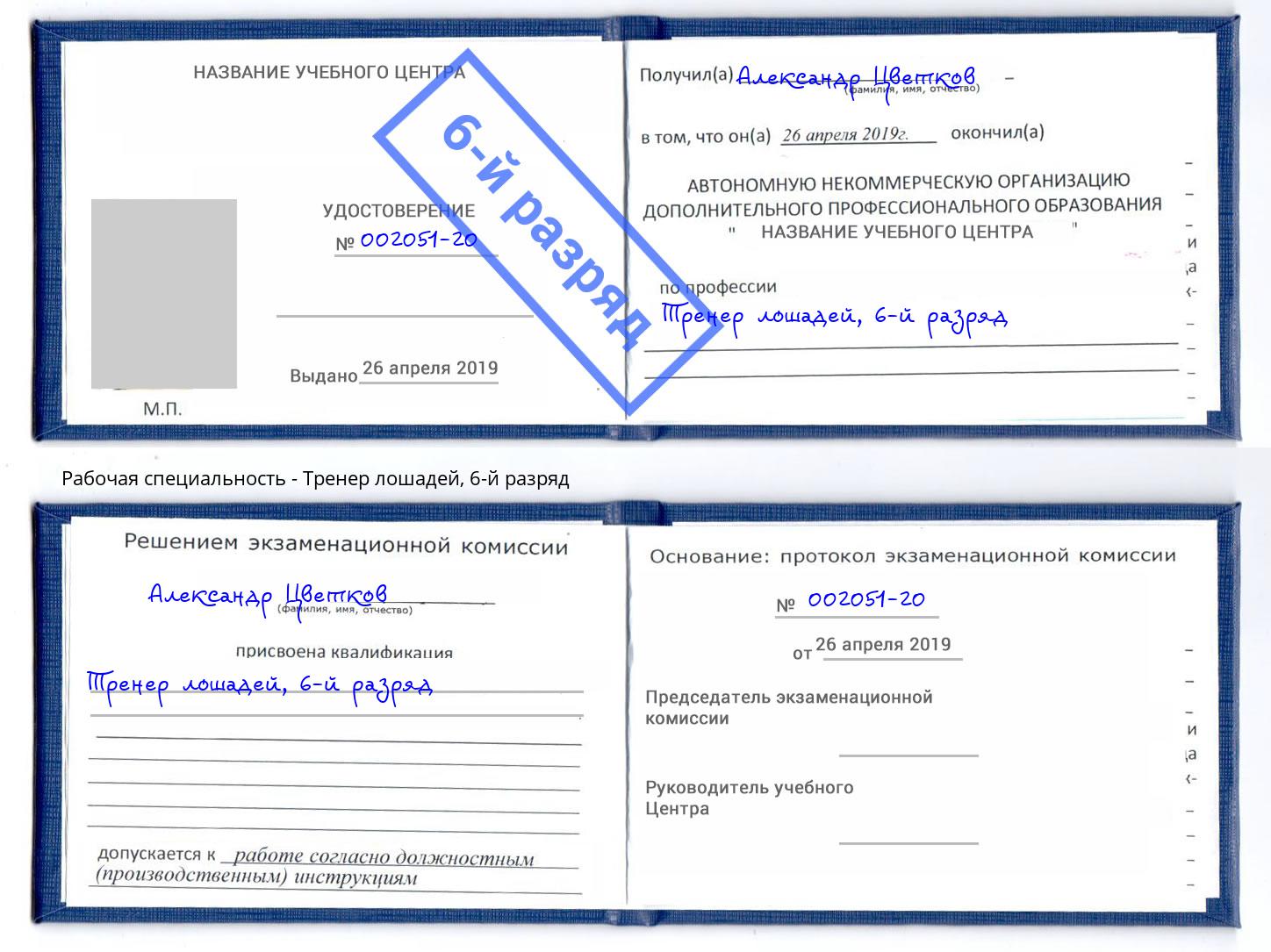 корочка 6-й разряд Тренер лошадей Альметьевск