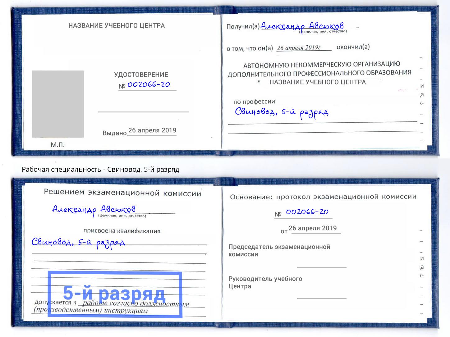 корочка 5-й разряд Свиновод Альметьевск